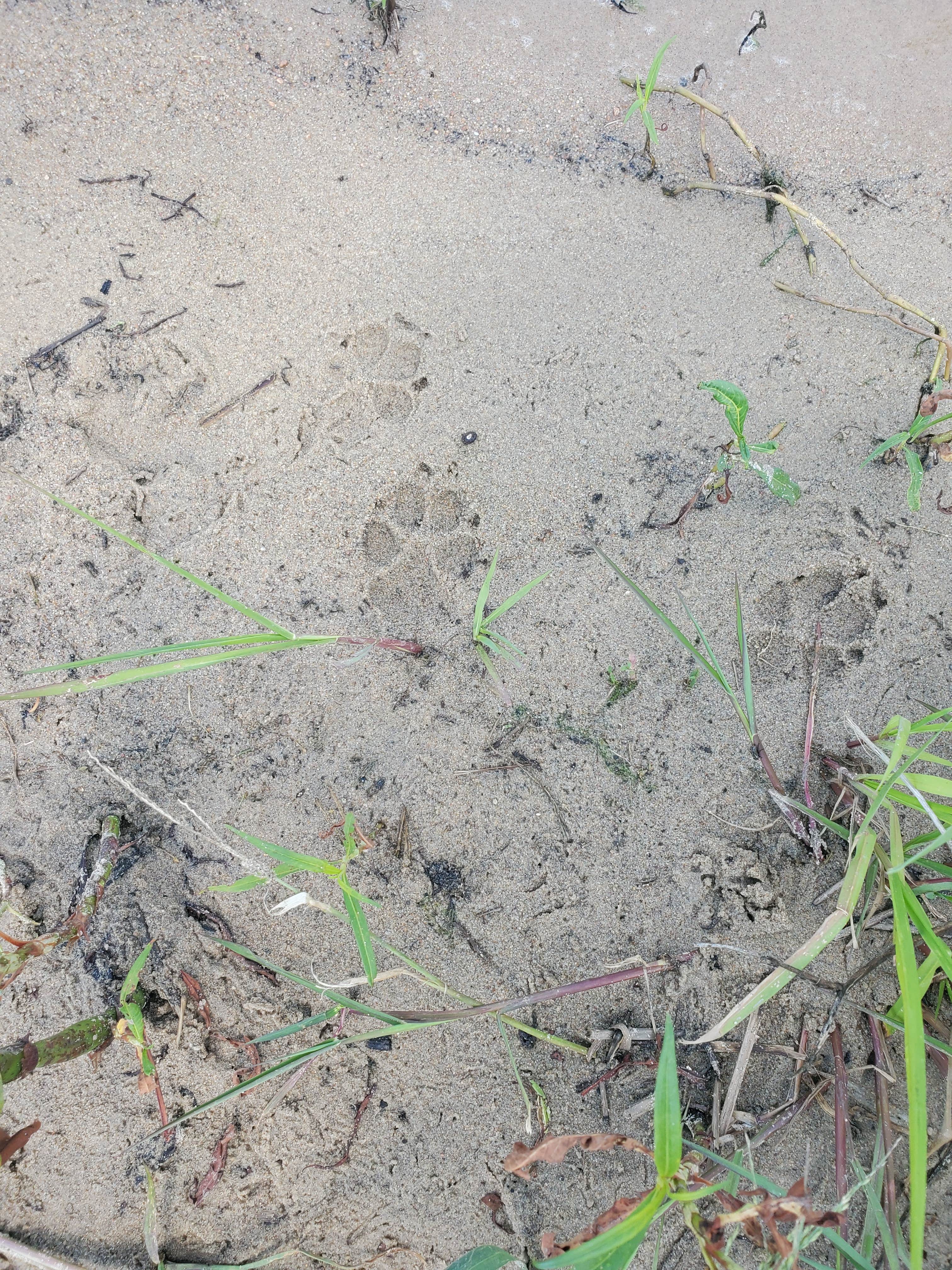 Camper-submitted photo at Bruning Dam Recreation Area near Hanover, KS