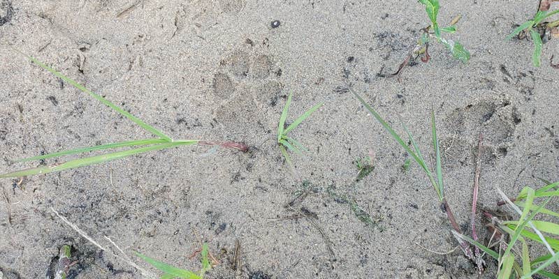 Camper submitted image from Bruning Dam Recreation Area