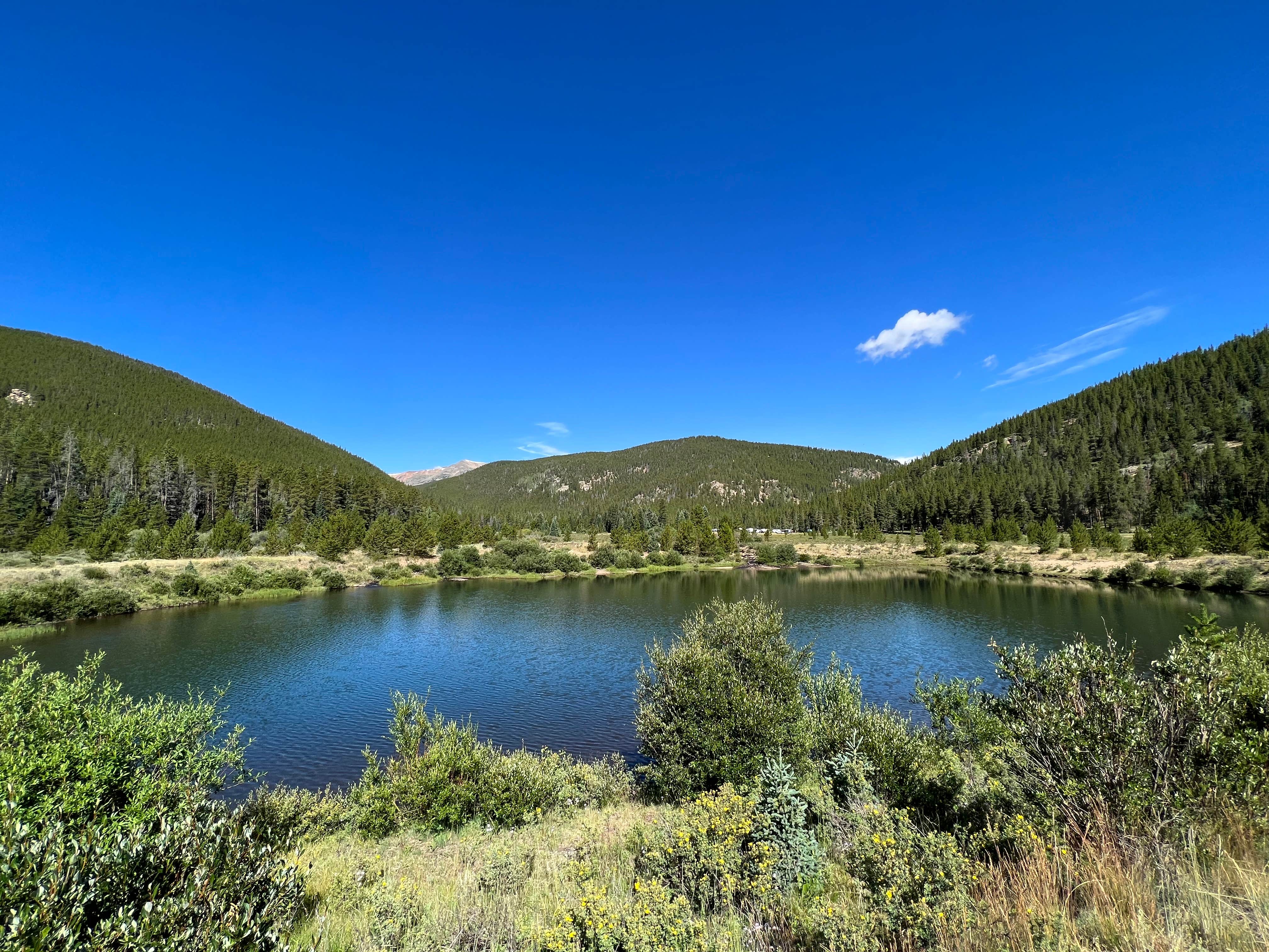 Kelsey W.'s photo of a dispersed camping area at Bruno Gulch Dispersed near Montezuma, CO