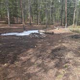 Review photo of Bruno Gulch Dispersed by wayne H., May 5, 2026