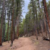 Review photo of Bruno Gulch Dispersed by Kelsey W., January 18, 2026