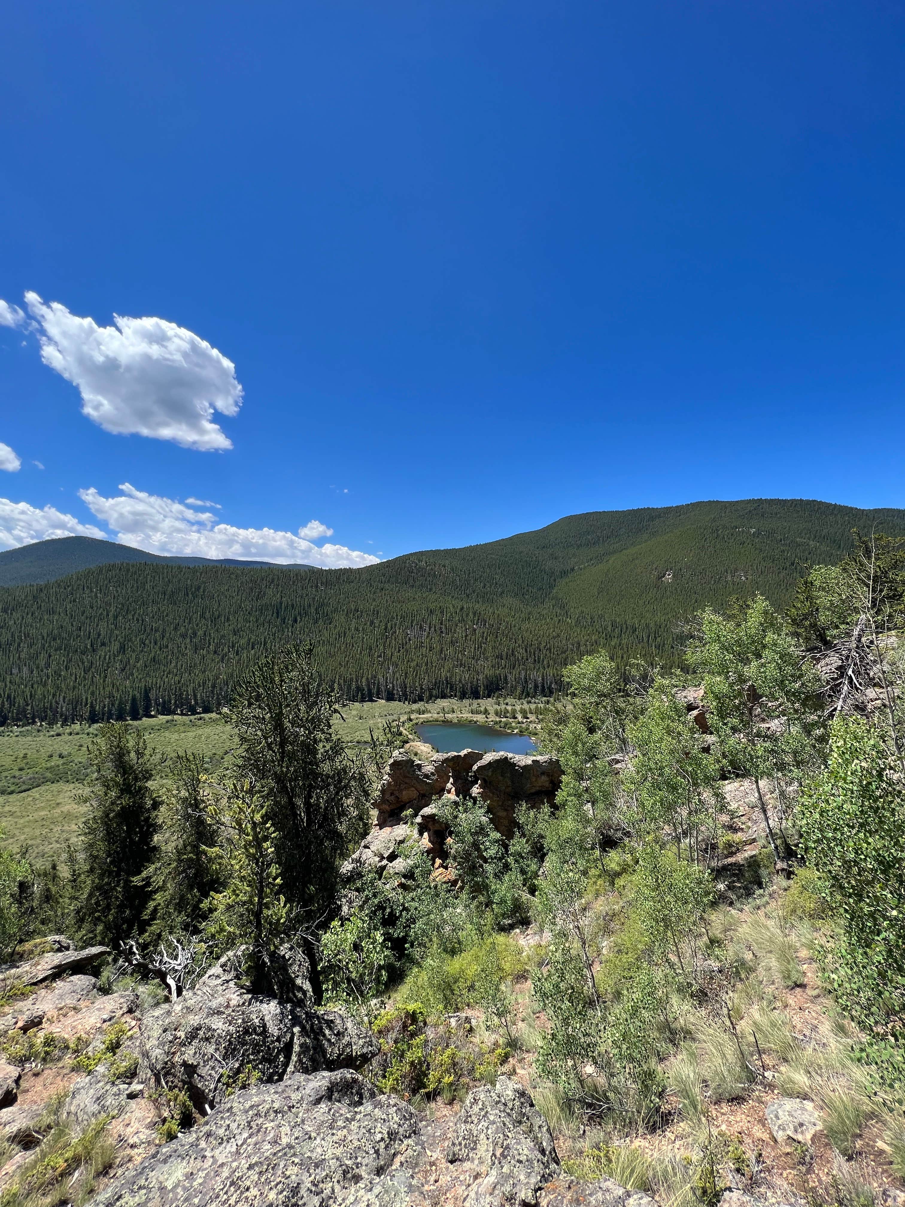 Camper-submitted photo at Bruno Gulch Dispersed near Bailey, CO