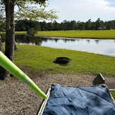 Review photo of Brunswick Beaches RV Resort by Dale Y., May 31, 2026