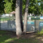 Review photo of Brunswick Beaches RV Resort by Dale Y., May 31, 2026