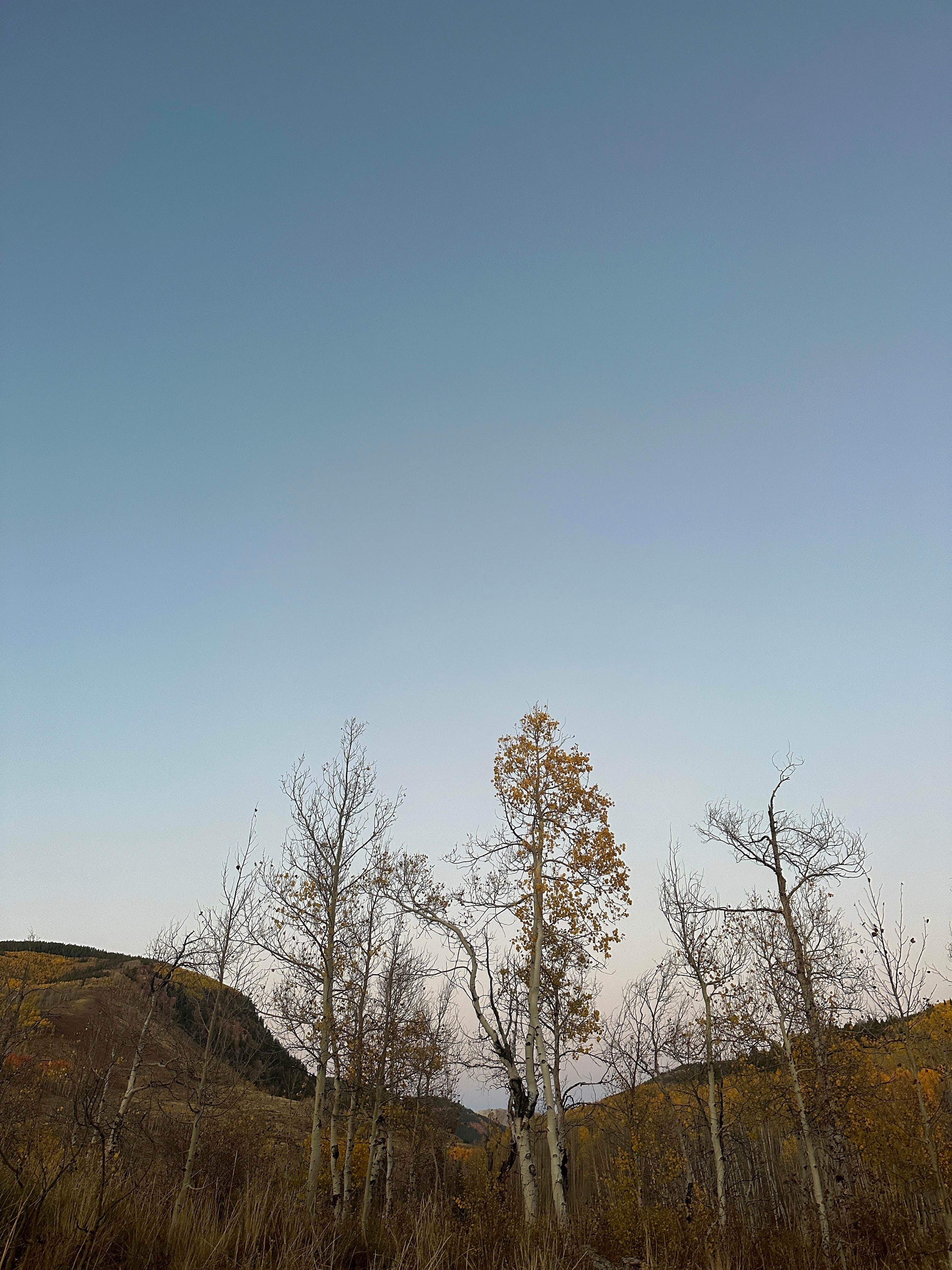 Nature