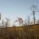 Review photo of Brush Creek Tent City by Taylor H., October 11, 2023