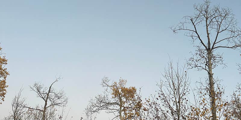 Camper submitted image from Brush Creek Tent City - PERMANENTLY CLOSED
