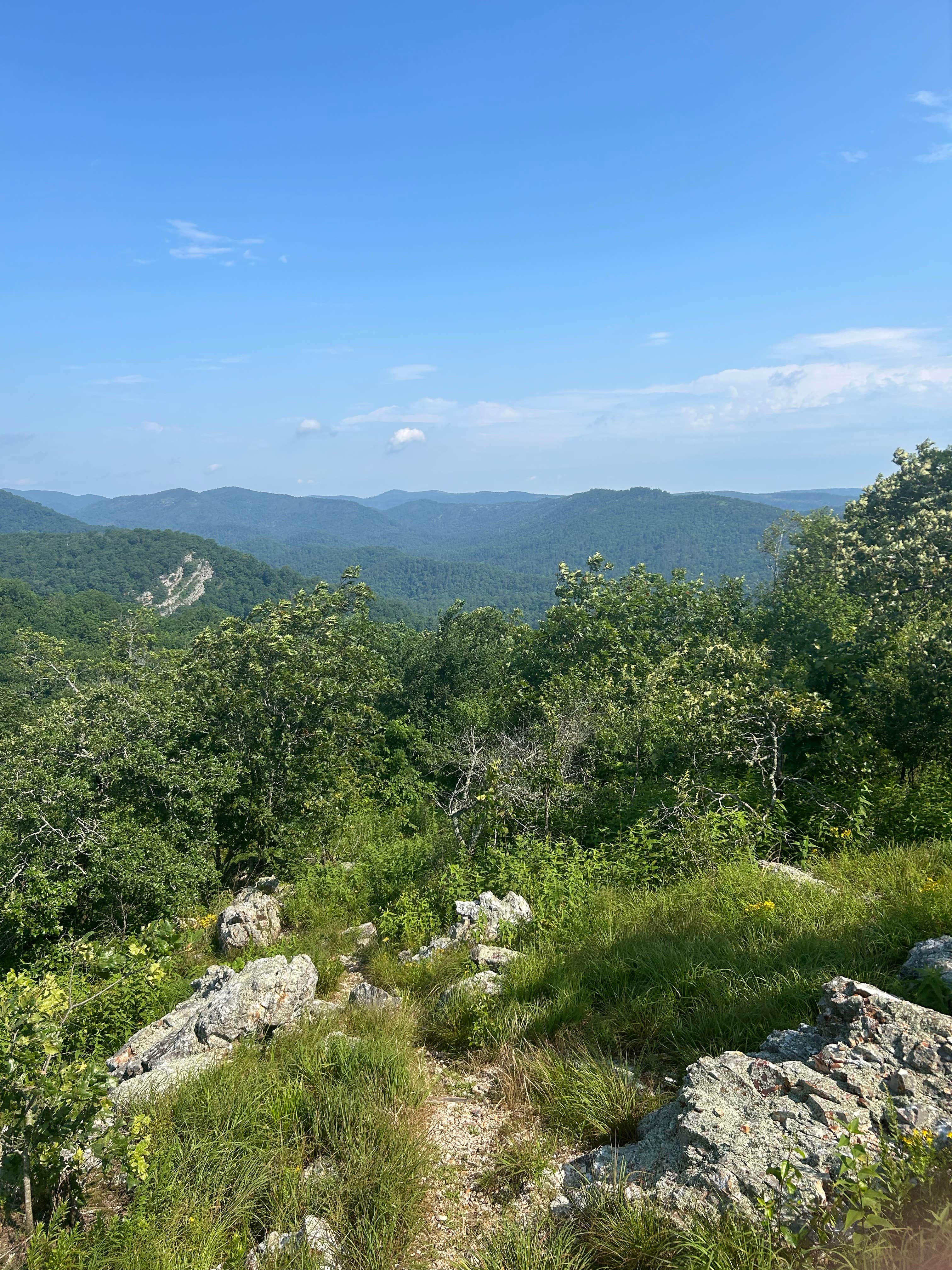 Camper-submitted photo at Brush Heap Mountain near Wickes, AR