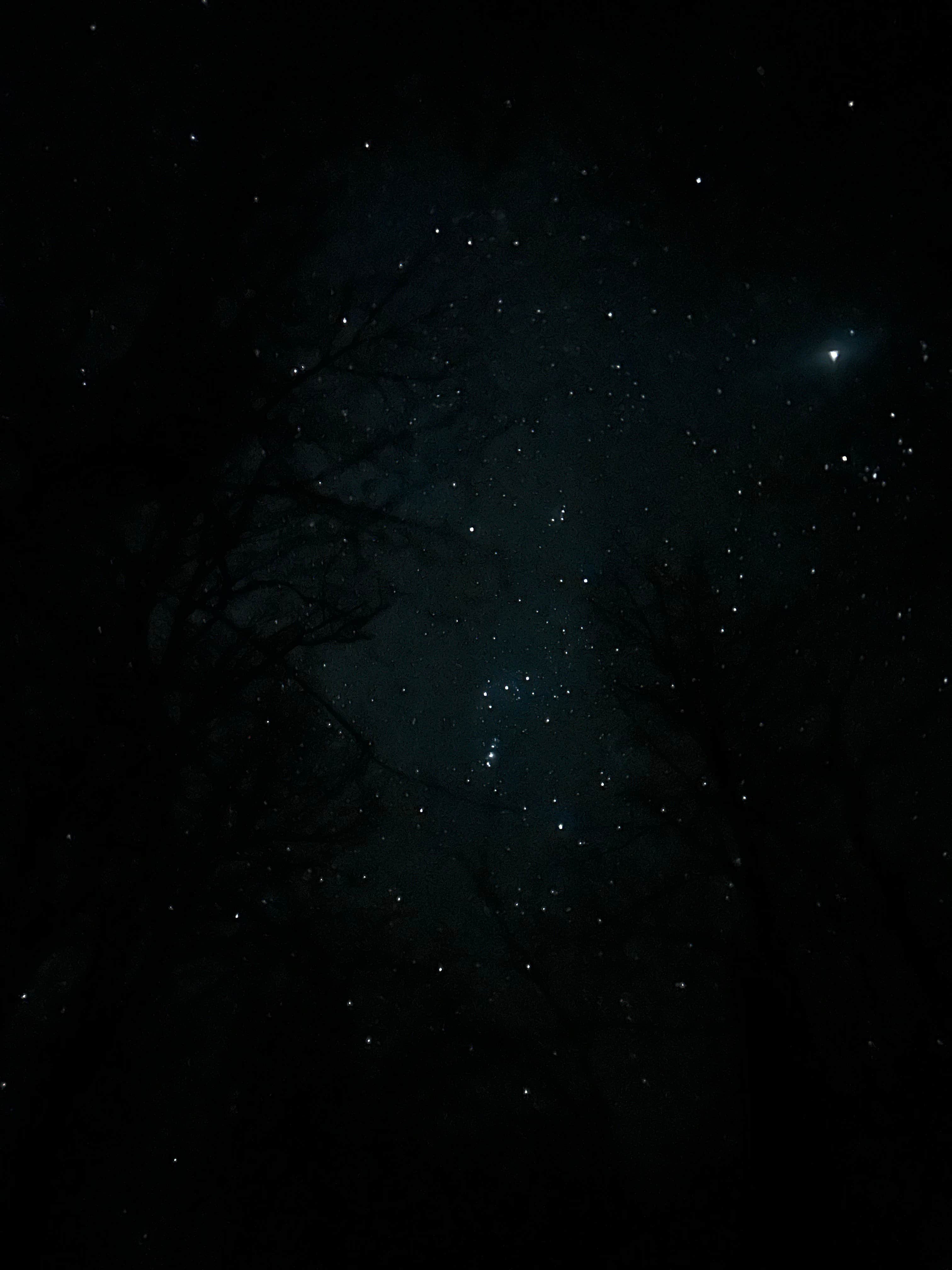 Camping near Spirit Rock Vista: Brush Heap Mountain, Langley, Arkansas