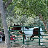 Review photo of Bryce Valley Ranch RV & Horse Park by Randy P., June 8, 2026