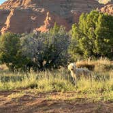 Review photo of Bryce View Campground — Kodachrome Basin State Park by Steven O., October 4, 2026