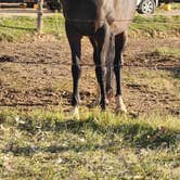 Review photo of Bryce Zion Campground by Laura W., September 4, 2025