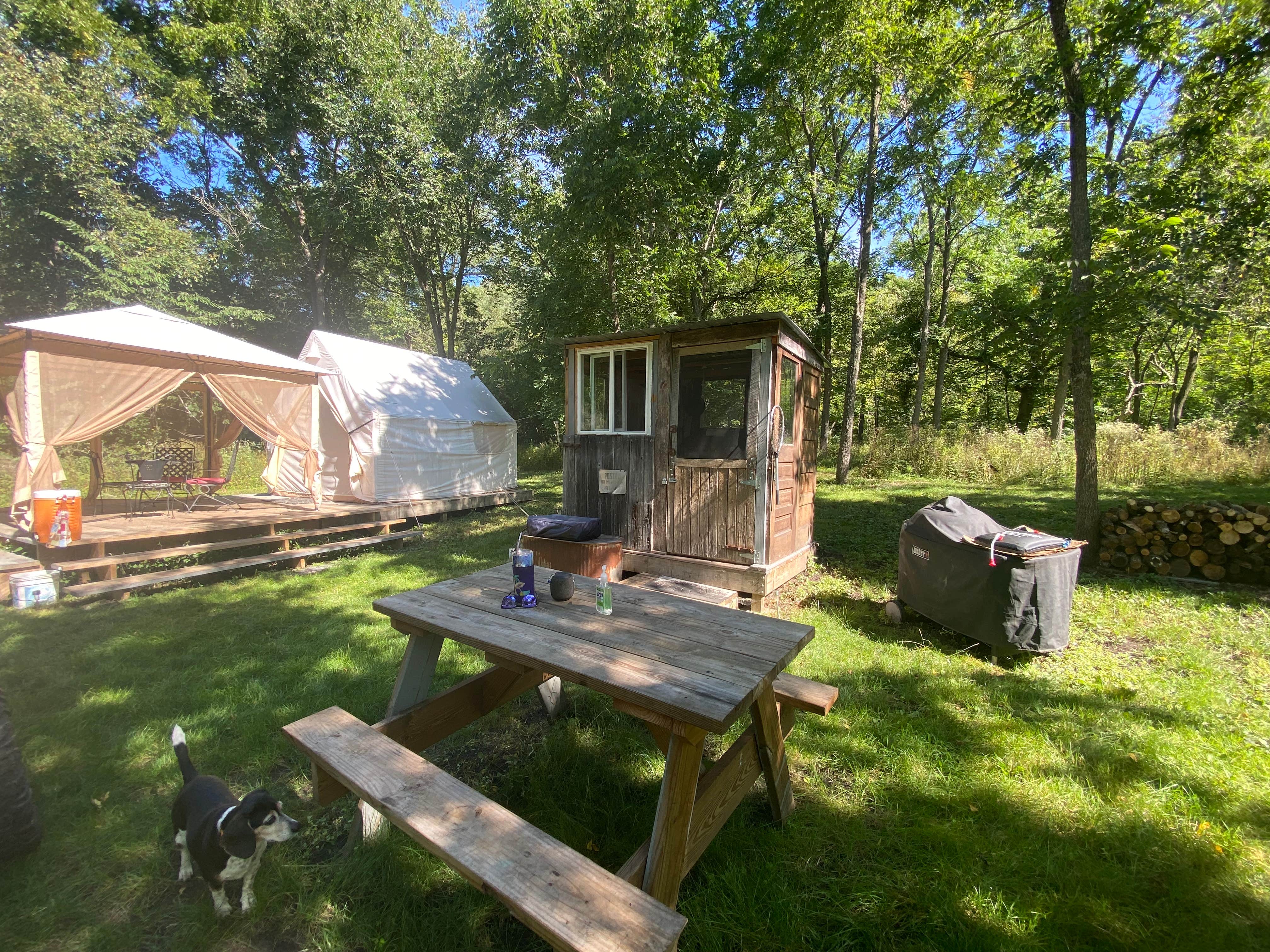 Lynn R.'s photo at Bryes Bad Axe Glamping near Newton, WI