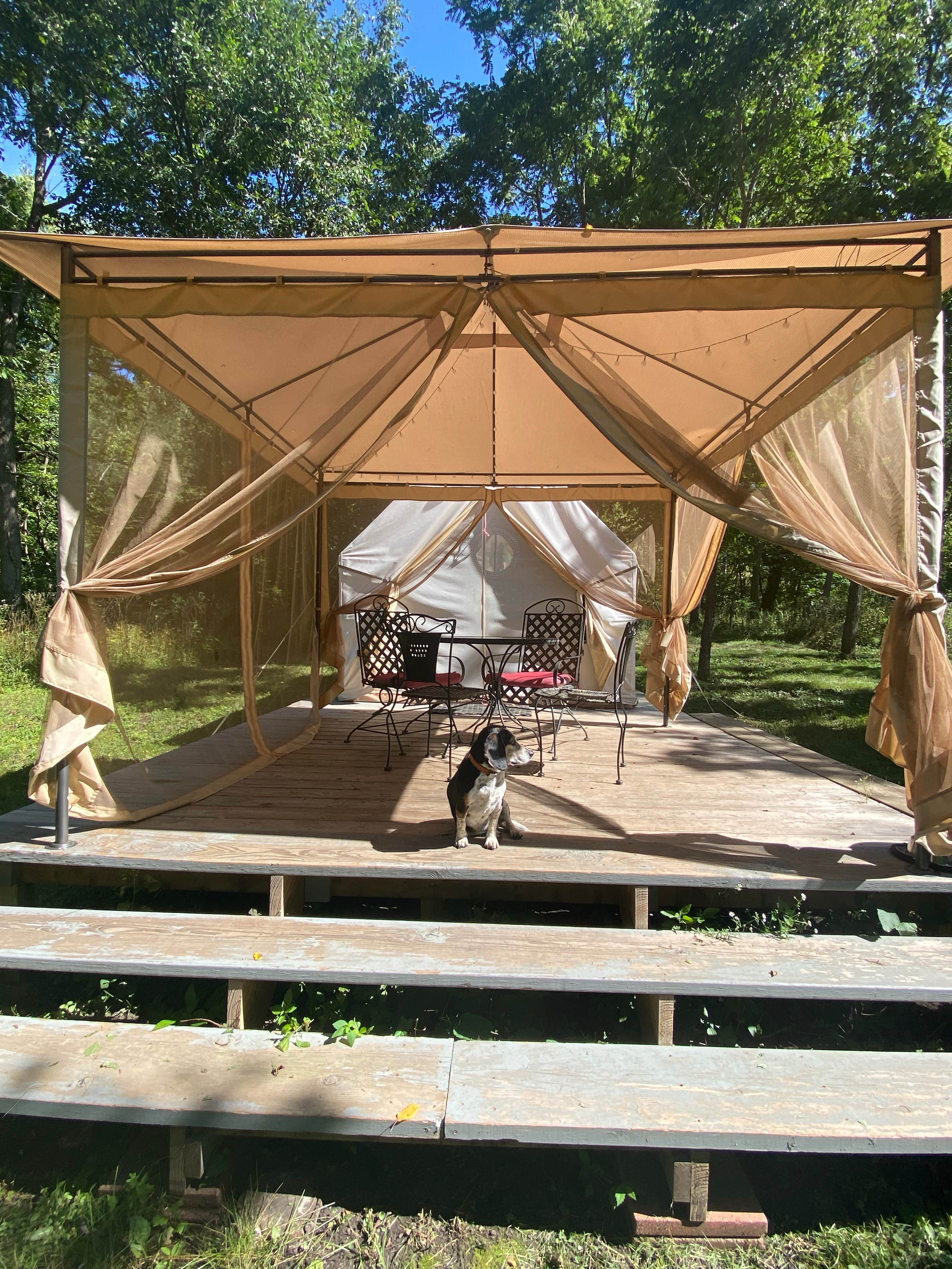 Lynn R.'s photo of tent camping at Bryes Bad Axe Glamping near Lansing, IA