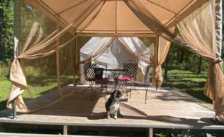 Lynn R.'s photo of tent camping at Bryes Bad Axe Glamping near Genoa, WI