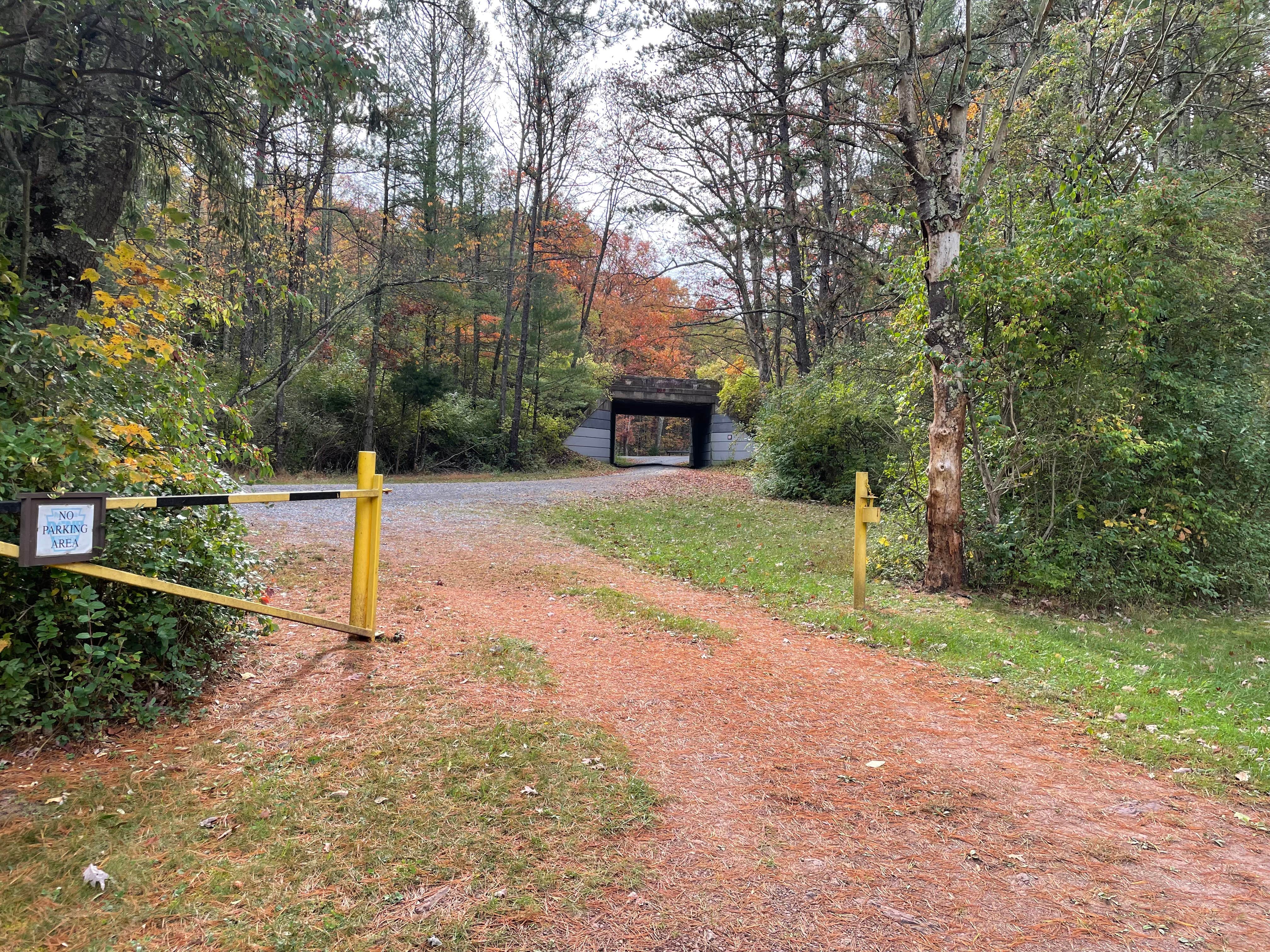 Camper submitted image from Buchanan State Forest - 2