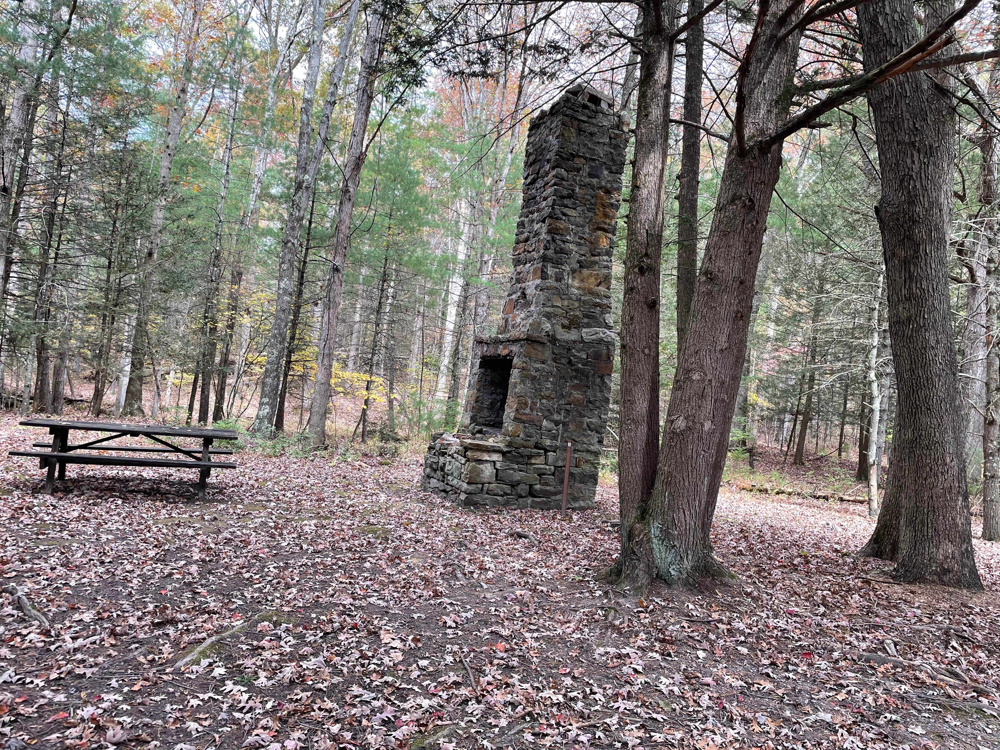 Camper submitted image from Buchanan State Forest - 5