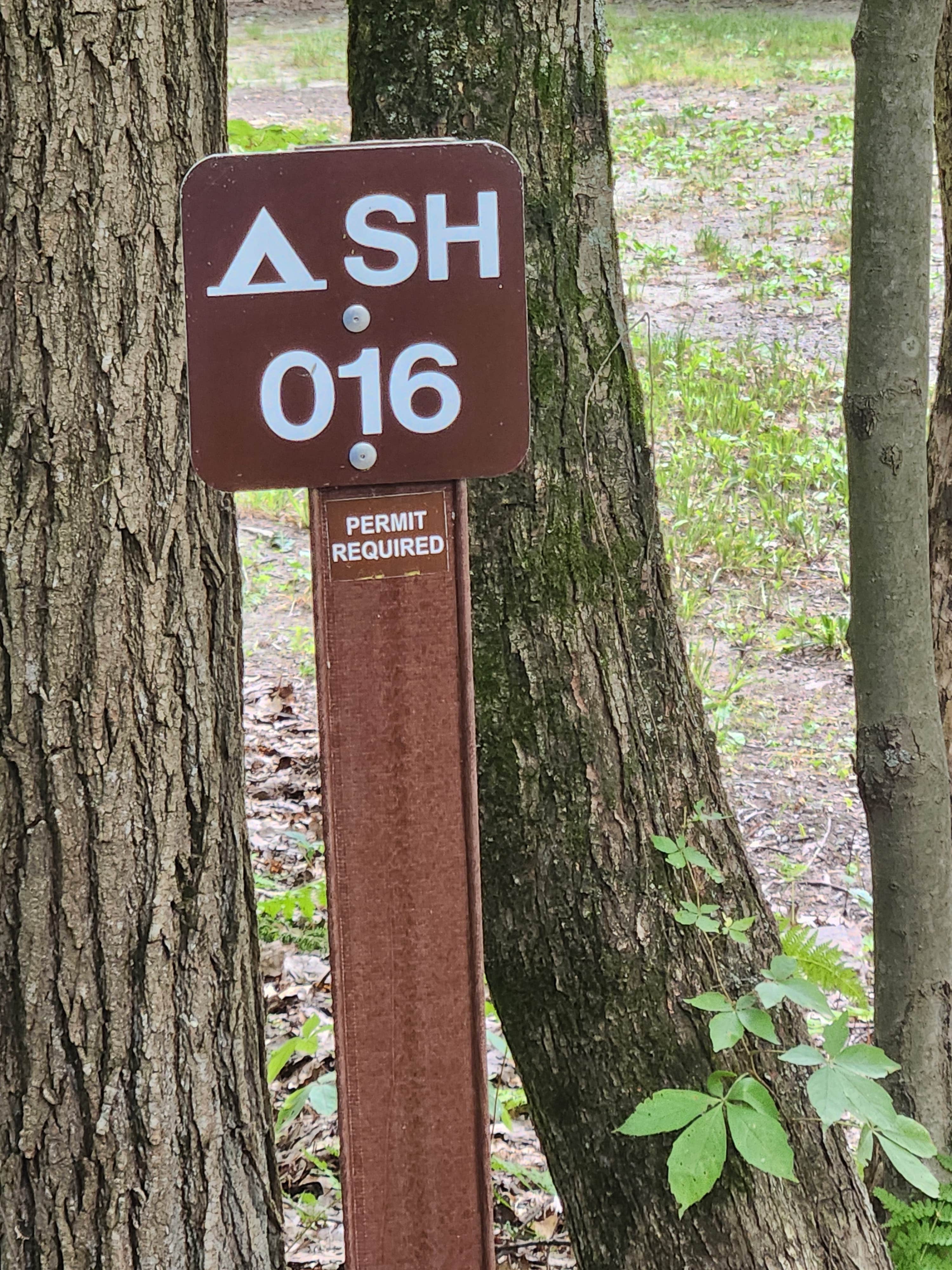 Camper-submitted photo at Sideling Hill Roadside Sites — Buchanan State Forest near Clearville, PA
