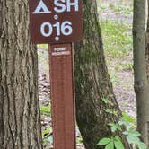 Review photo of Buchanan State Forest by SomadNomad M., July 9, 2024