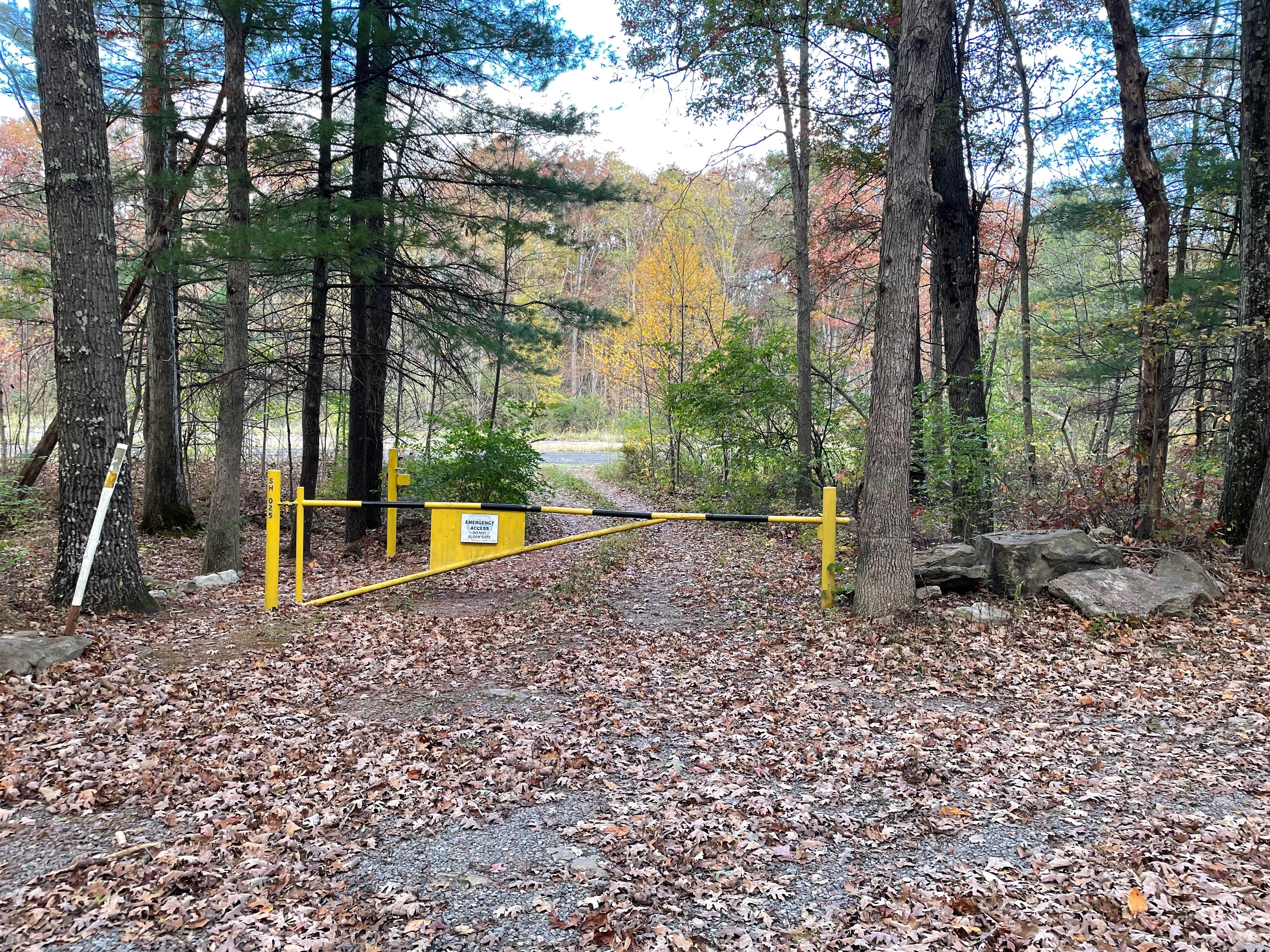 Camper-submitted photo at Sideling Hill Roadside Sites — Buchanan State Forest near Clearville, PA