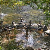 Review photo of Buck Creek by Lisa & Patrick R., October 11, 2026