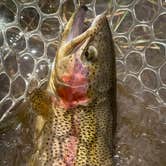 Review photo of Buck Creek by Lisa & Patrick R., October 11, 2026