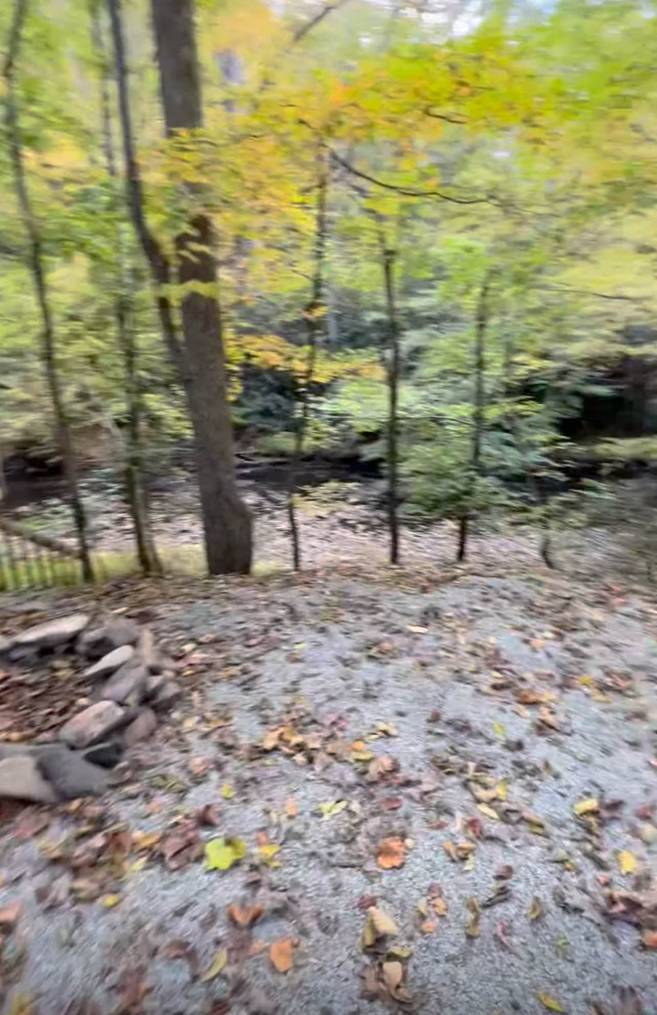 Camper-submitted photo at Buck Creek near Marion, NC