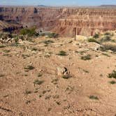 Review photo of Buck Farm Point by Erik I., April 28, 2026