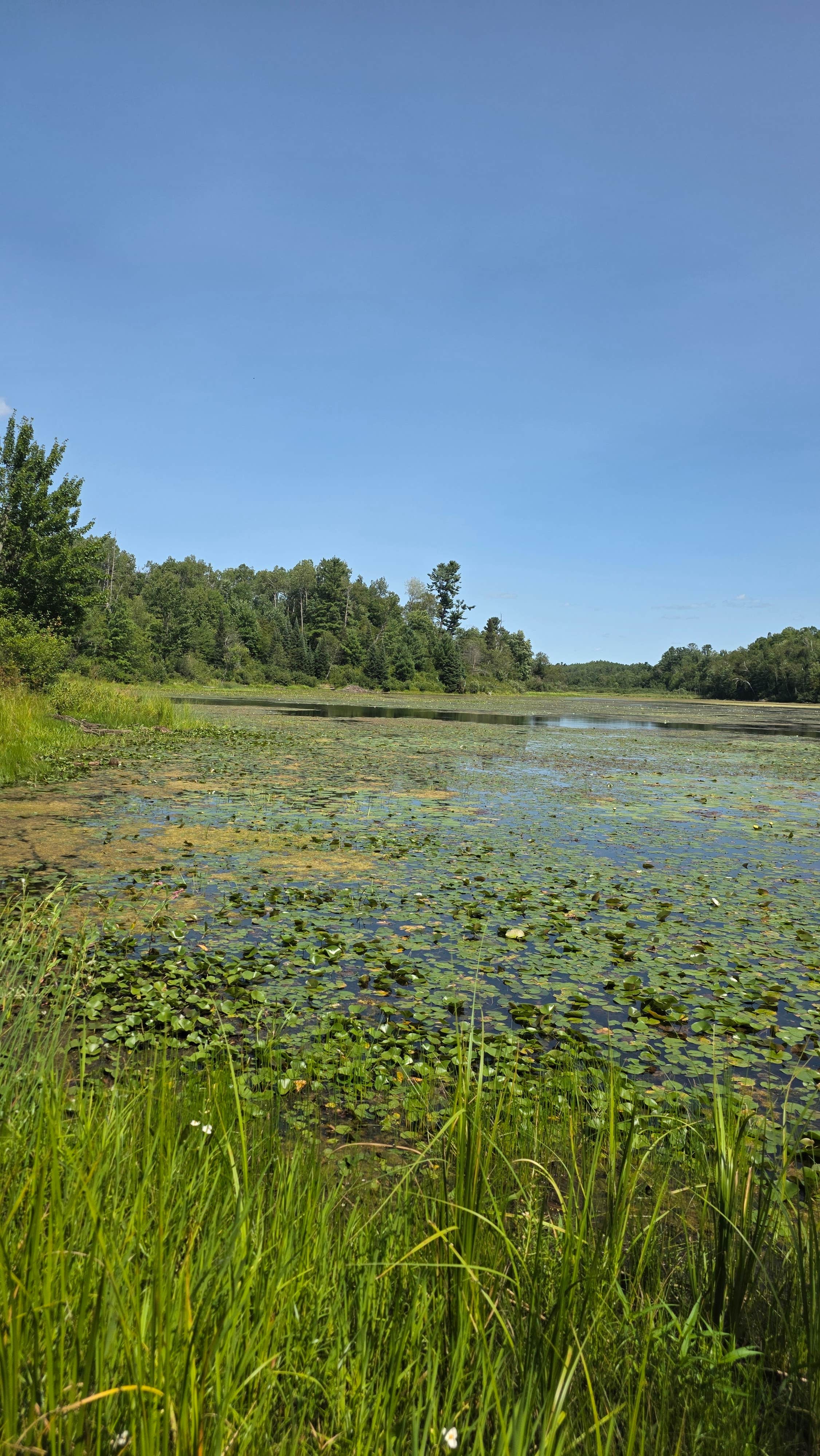 Camper-submitted photo at buck lake Wisconsin near St. Croix National Scenic Riverway