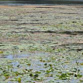Review photo of buck lake Wisconsin by Jackie F., August 8, 2026