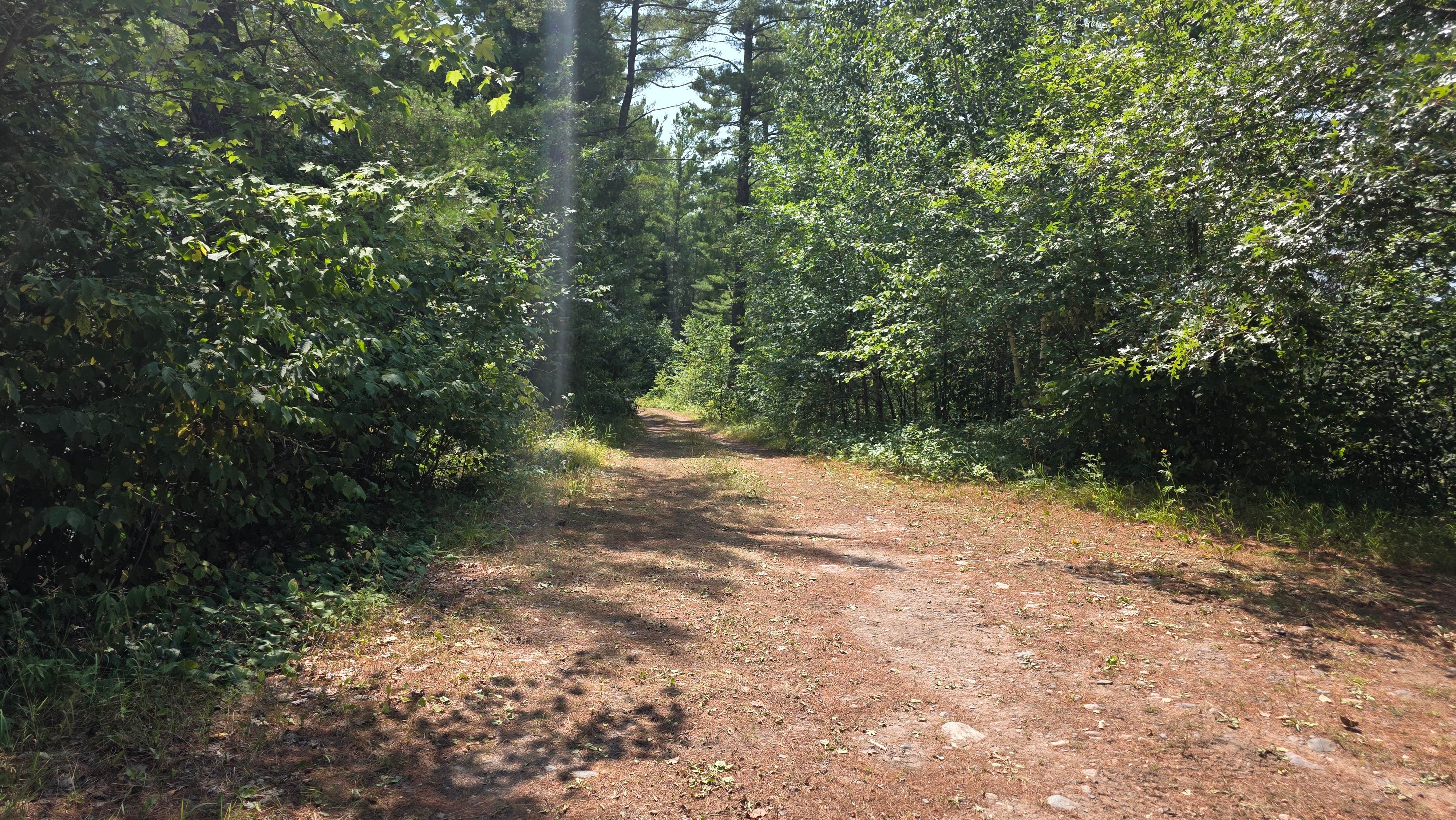 Camper-submitted photo at buck lake Wisconsin near St. Croix National Scenic Riverway