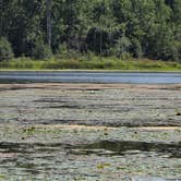 Review photo of buck lake Wisconsin by Jackie F., August 8, 2026