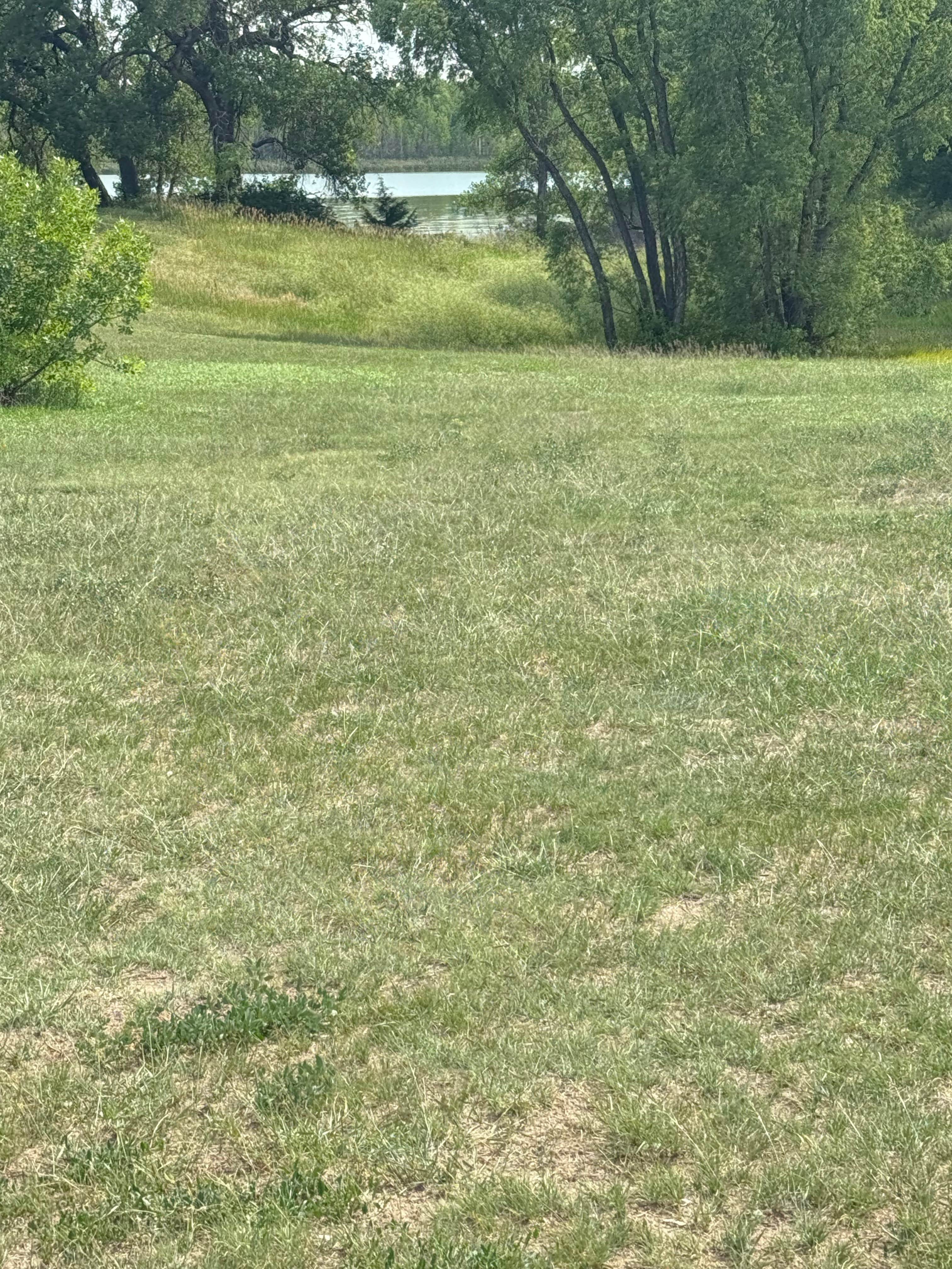 Camper-submitted photo at Buck Ridge near Hensley Lake