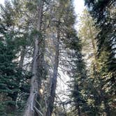 Review photo of Buck Rock Campground by Nat P., June 11, 2025