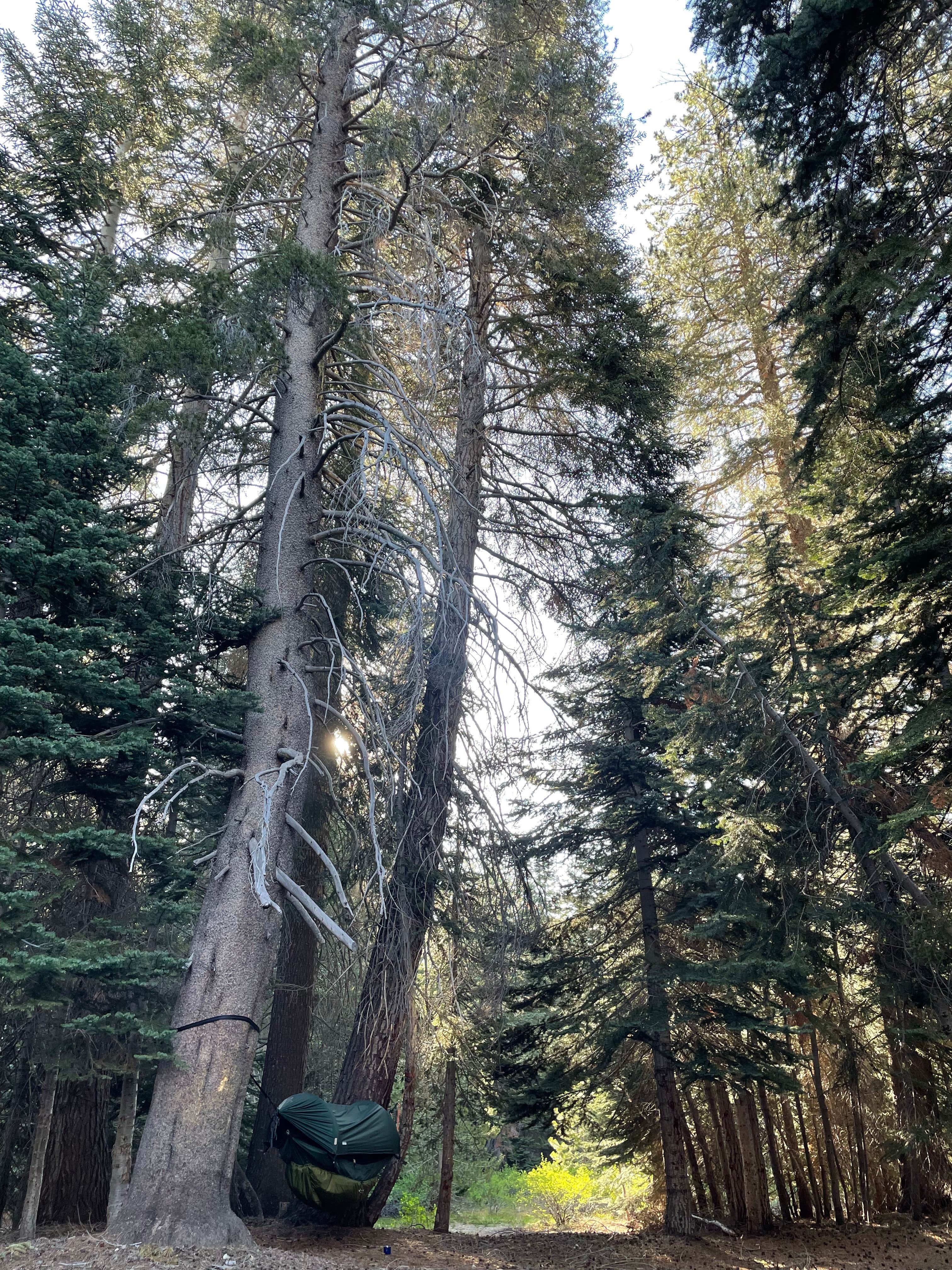 Camper submitted image from Buck Rock Campground - 5