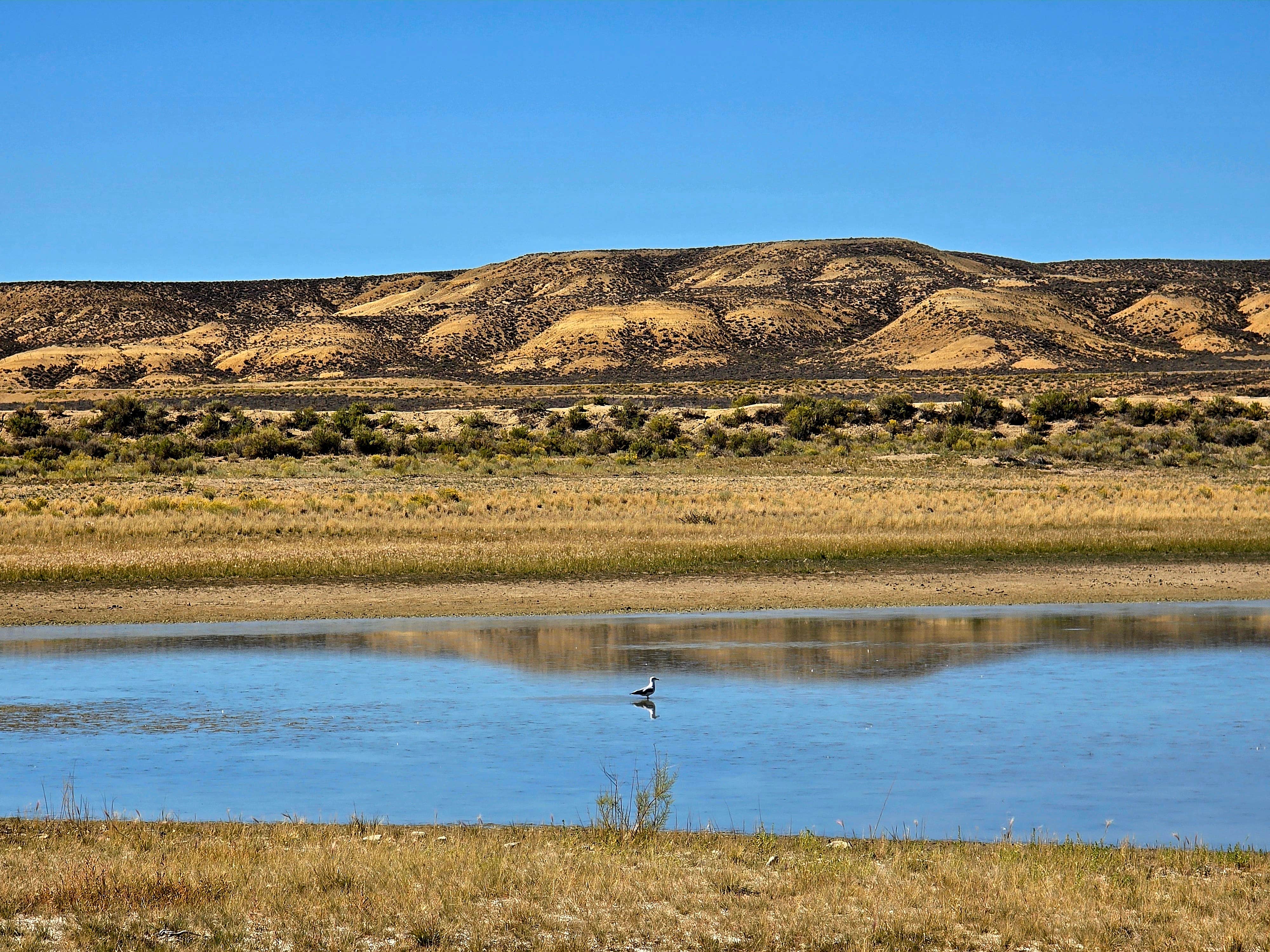 Brenda M.'s photo of a dispersed camping area at Buckboard Cove Dispersed Campsite near Lonetree, WY