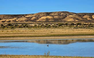 Brenda M.'s photo of a dispersed camping area at Buckboard Cove Dispersed Campsite near Ashley National Forest