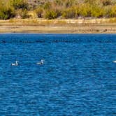 Review photo of Buckboard Cove Dispersed Campsite by Brenda M., September 25, 2024