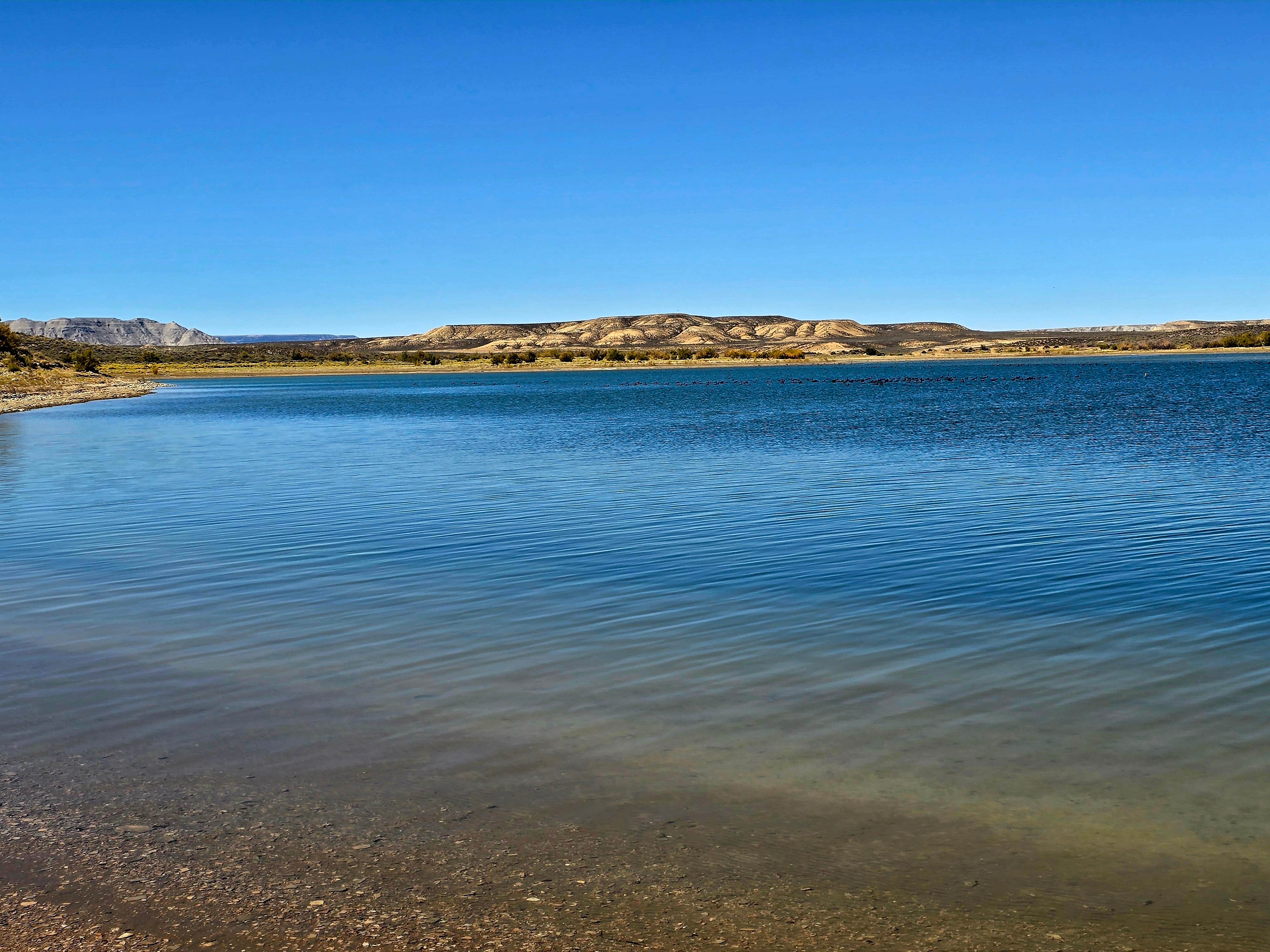 Brenda M.'s photo of a dispersed camping area at Buckboard Cove Dispersed Campsite near Manila, UT
