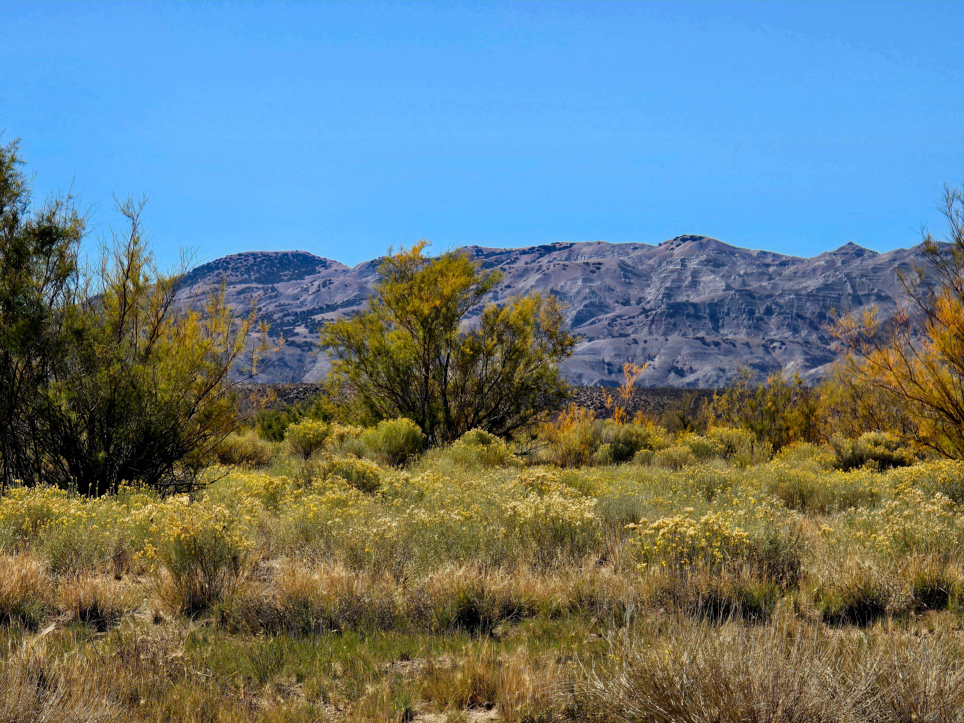 Camping near Little America RV Park - A Traveler's Oasis: Buckboard Cove Dispersed Campsite, Manila, Wyoming