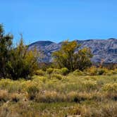 Review photo of Buckboard Cove Dispersed Campsite by Brenda M., September 25, 2024