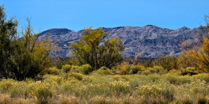 Camper submitted image from Buckboard Cove Dispersed Campsite