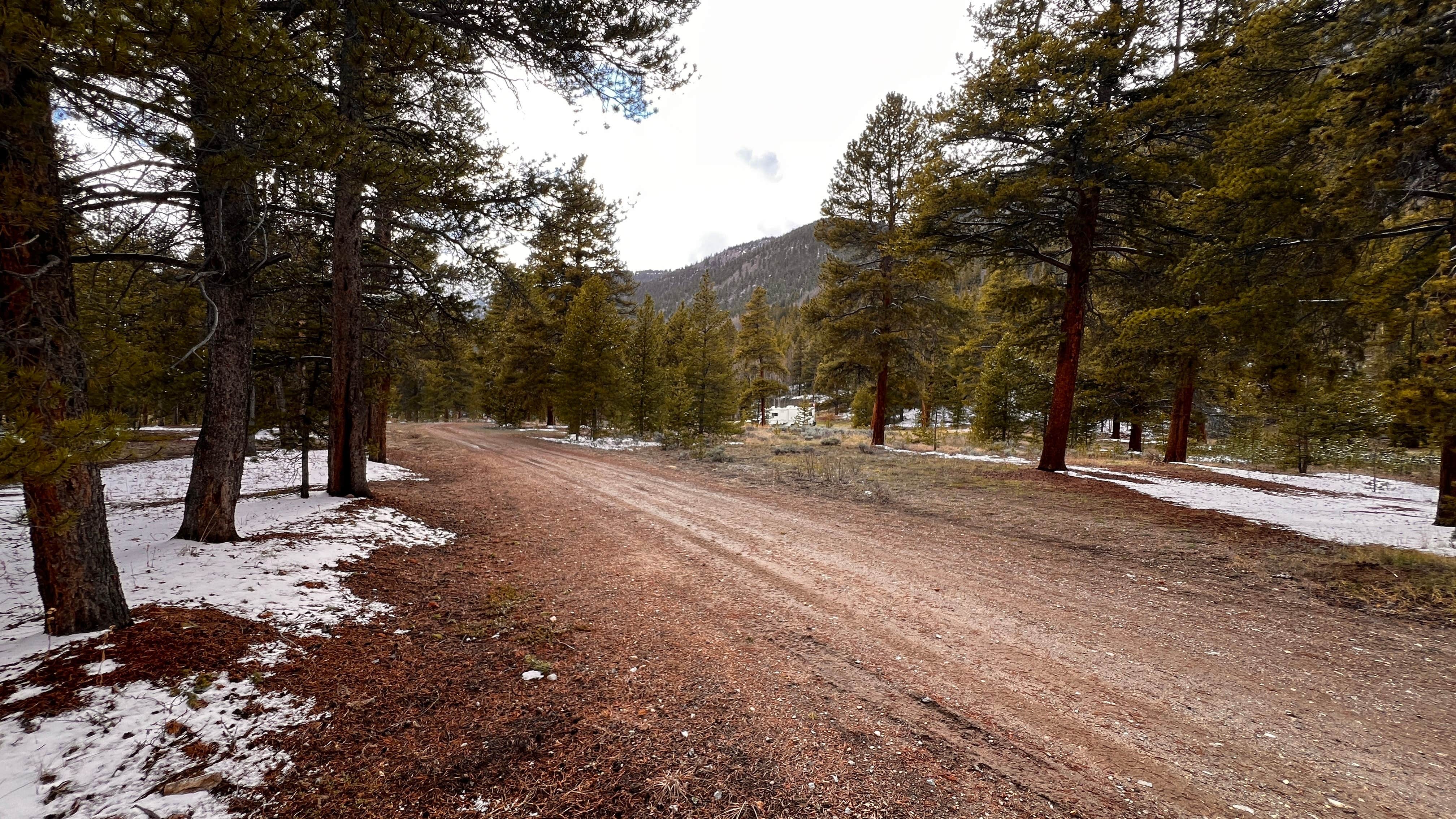 Camper submitted image from Buckeye Gultch Dispersed - 2