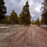 Review photo of Buckeye Gultch Dispersed by Francois T., May 20, 2025