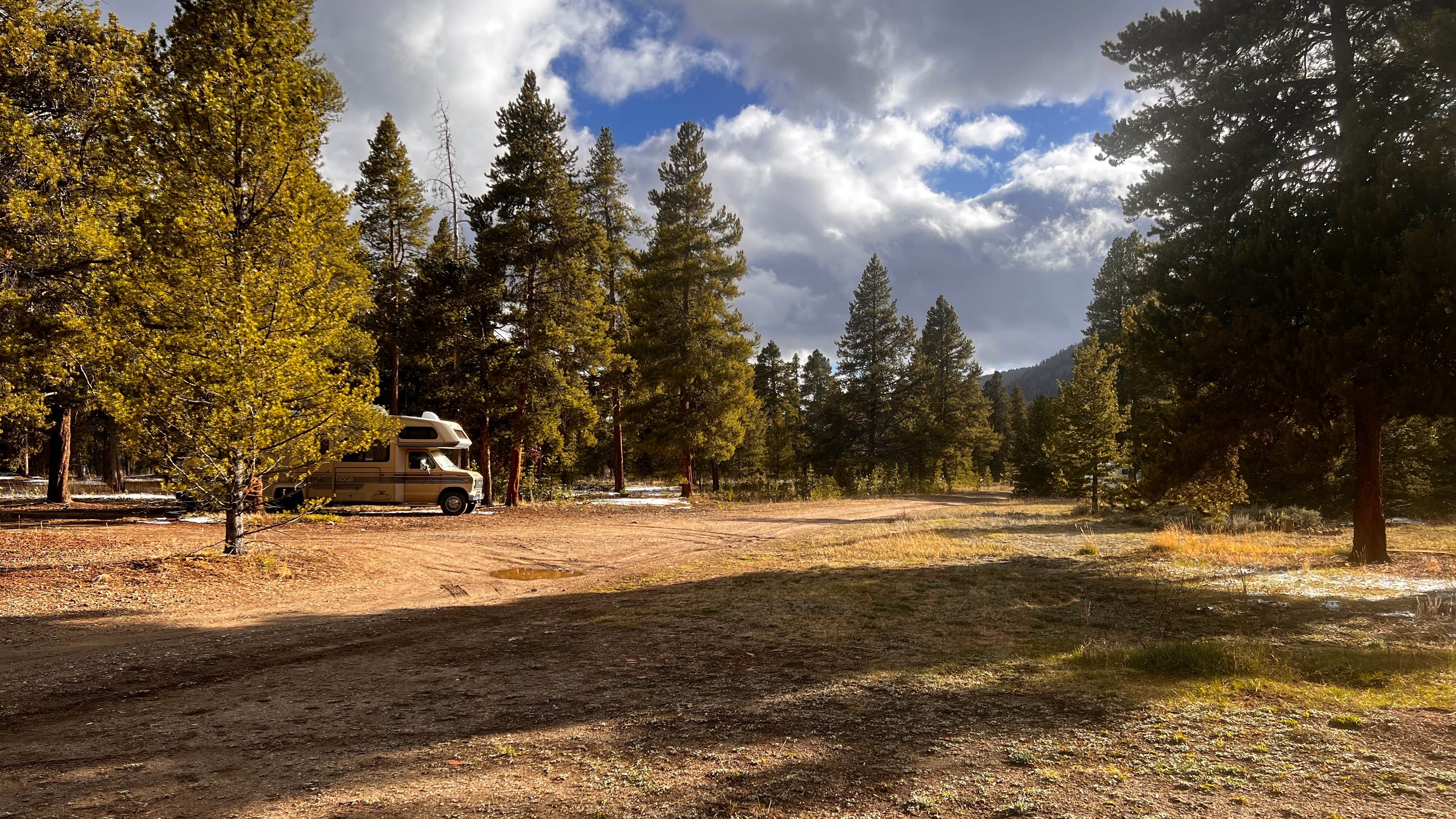Camper submitted image from Buckeye Gultch Dispersed - 3