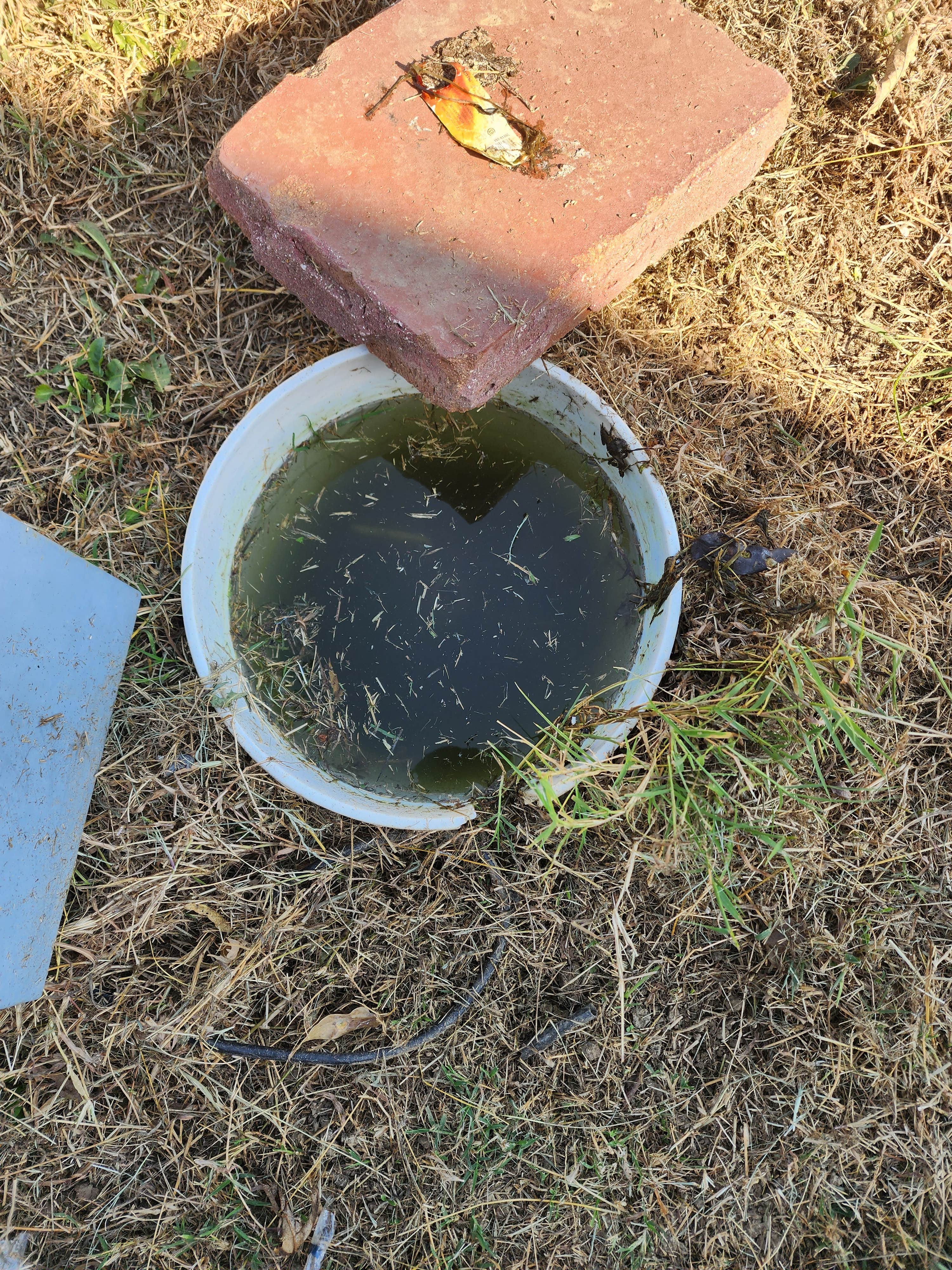 Camper-submitted photo at Buckeye RV Park near Coffeyville, KS