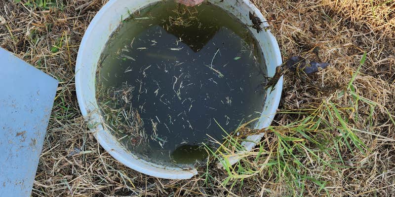 Camper submitted image from Buckeye RV Park