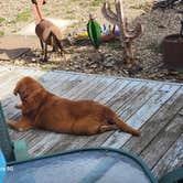 Review photo of Buckeye Run Farm by Cody M., April 14, 2024