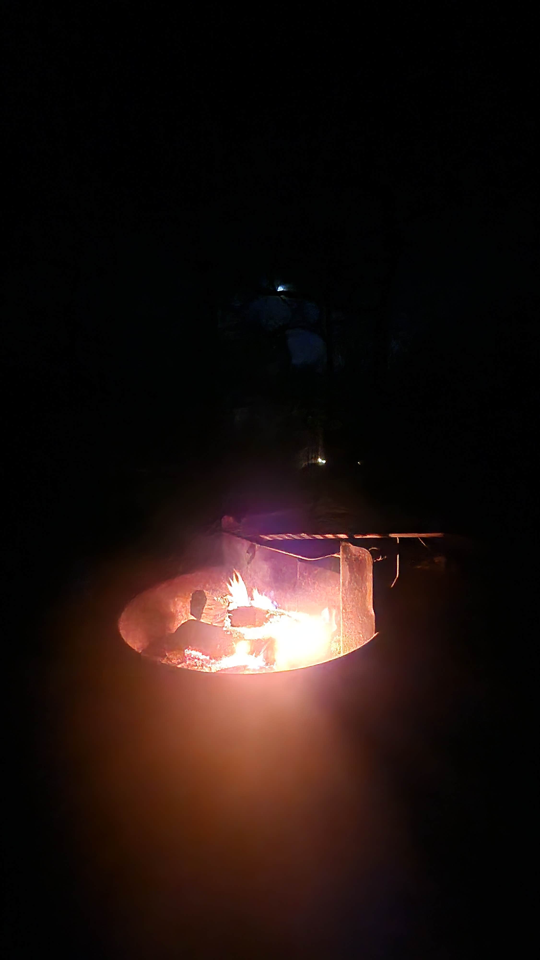 Camper-submitted photo at Buckhorn Campground Loop D — Chickasaw National Recreation Area near Sulphur, OK