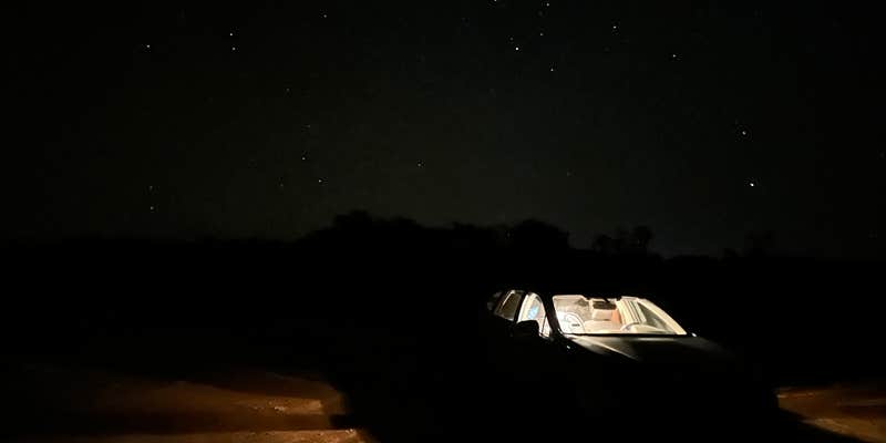 Camper submitted image from Buckhorn Draw Wickiup Site Dispersed Camp